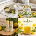 Dandelion Care Set - all four pieces