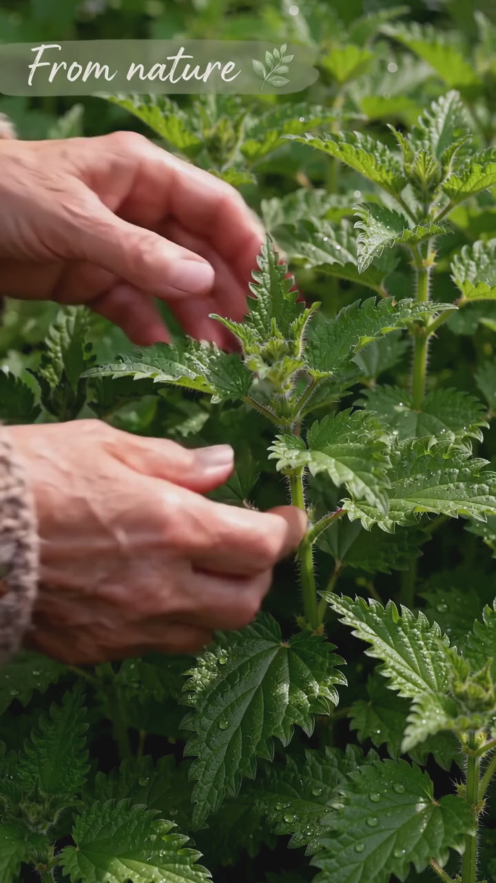 Nettle Salve