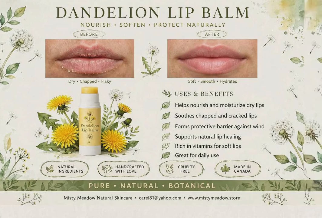Dandelion Lip Balm (2 pcs)