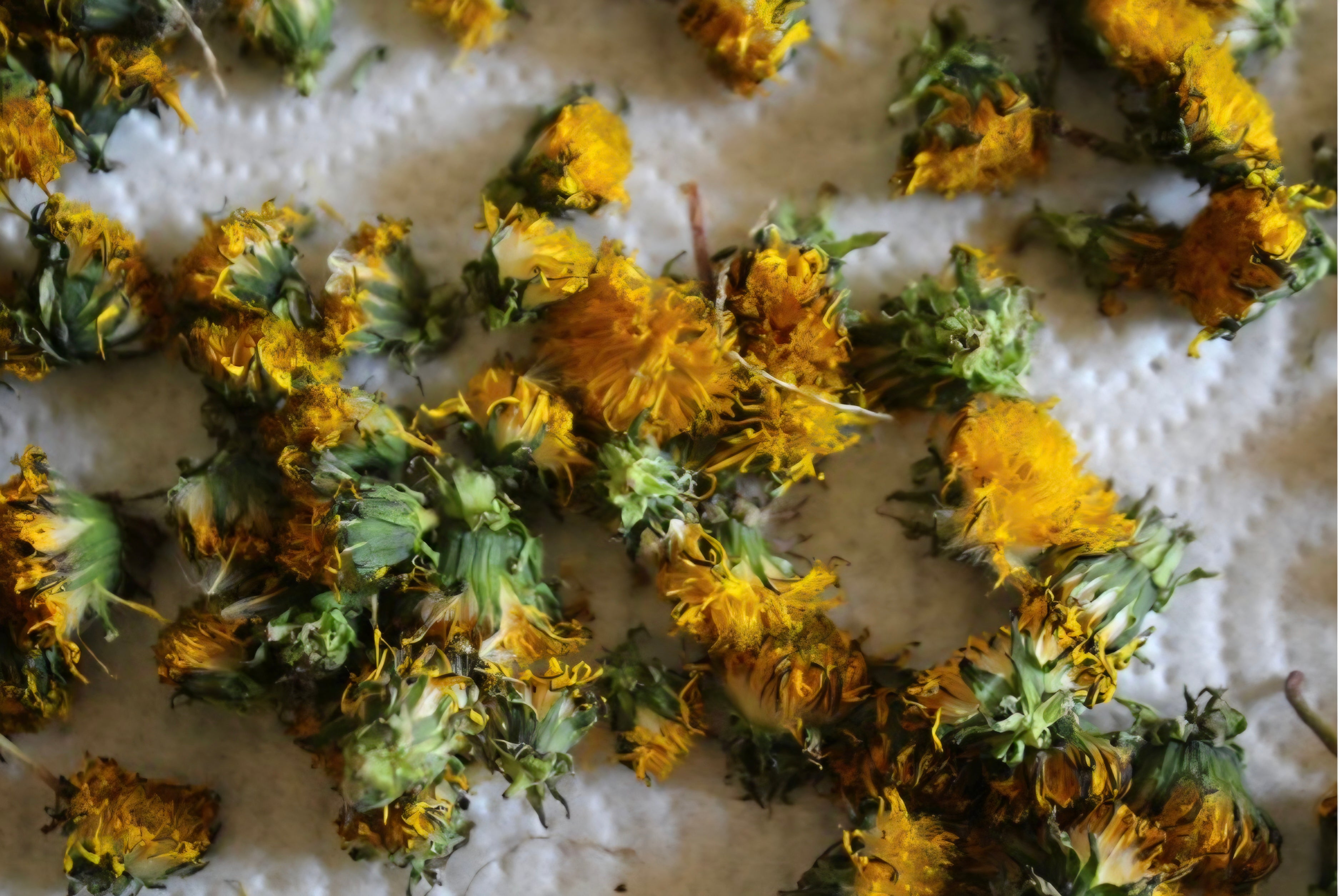 Dandelion Lip Balm (2 pcs)