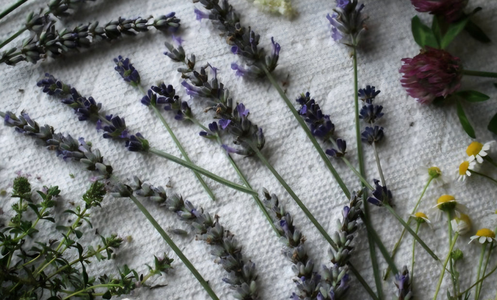 Lavender Herbal Oil