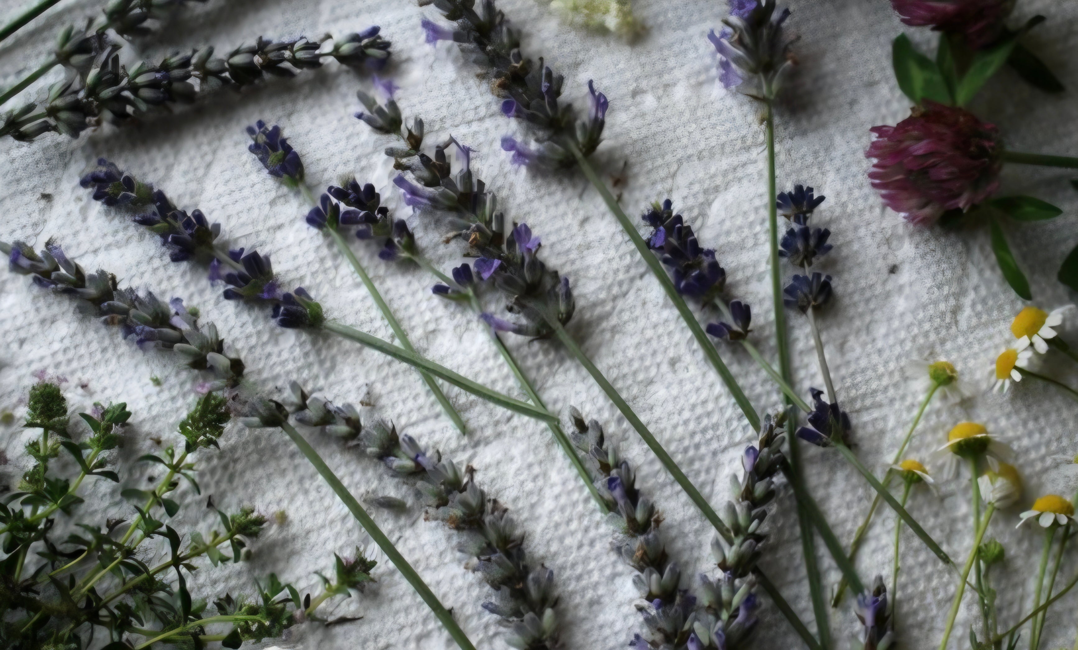 Lavender Herbal Oil