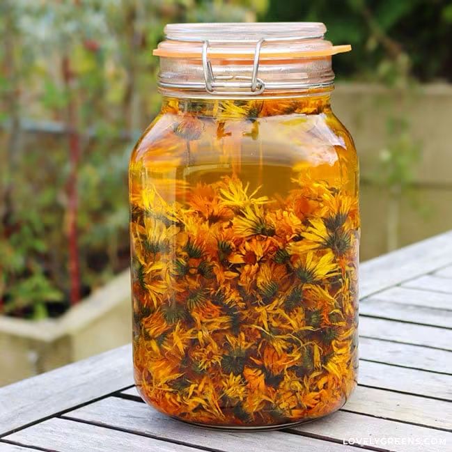 Calendula Lip Balm (2 pcs)